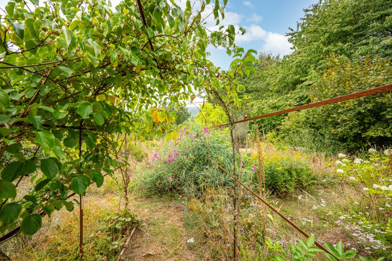 Garden- click for photo gallery